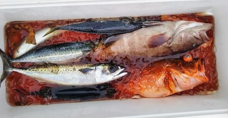 康仁丸・ジギング釣り果